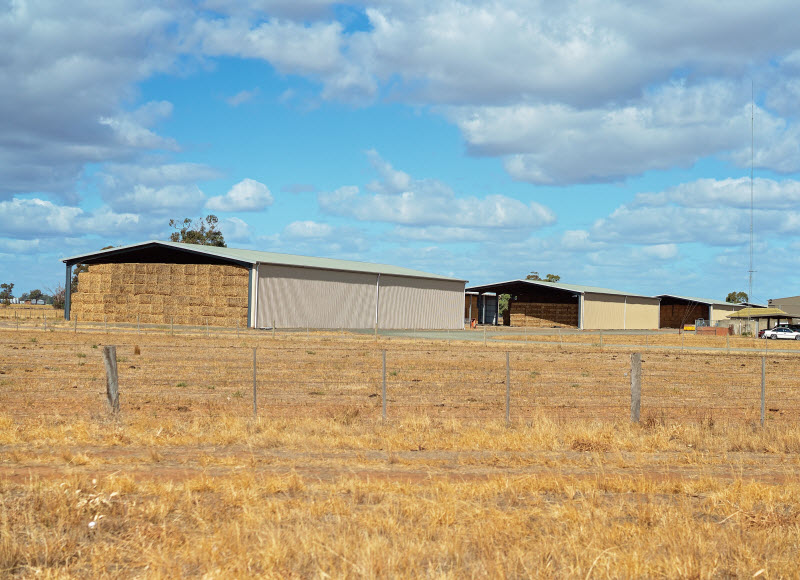 Hay bales to feed cattle stored in large sheds by the roadside